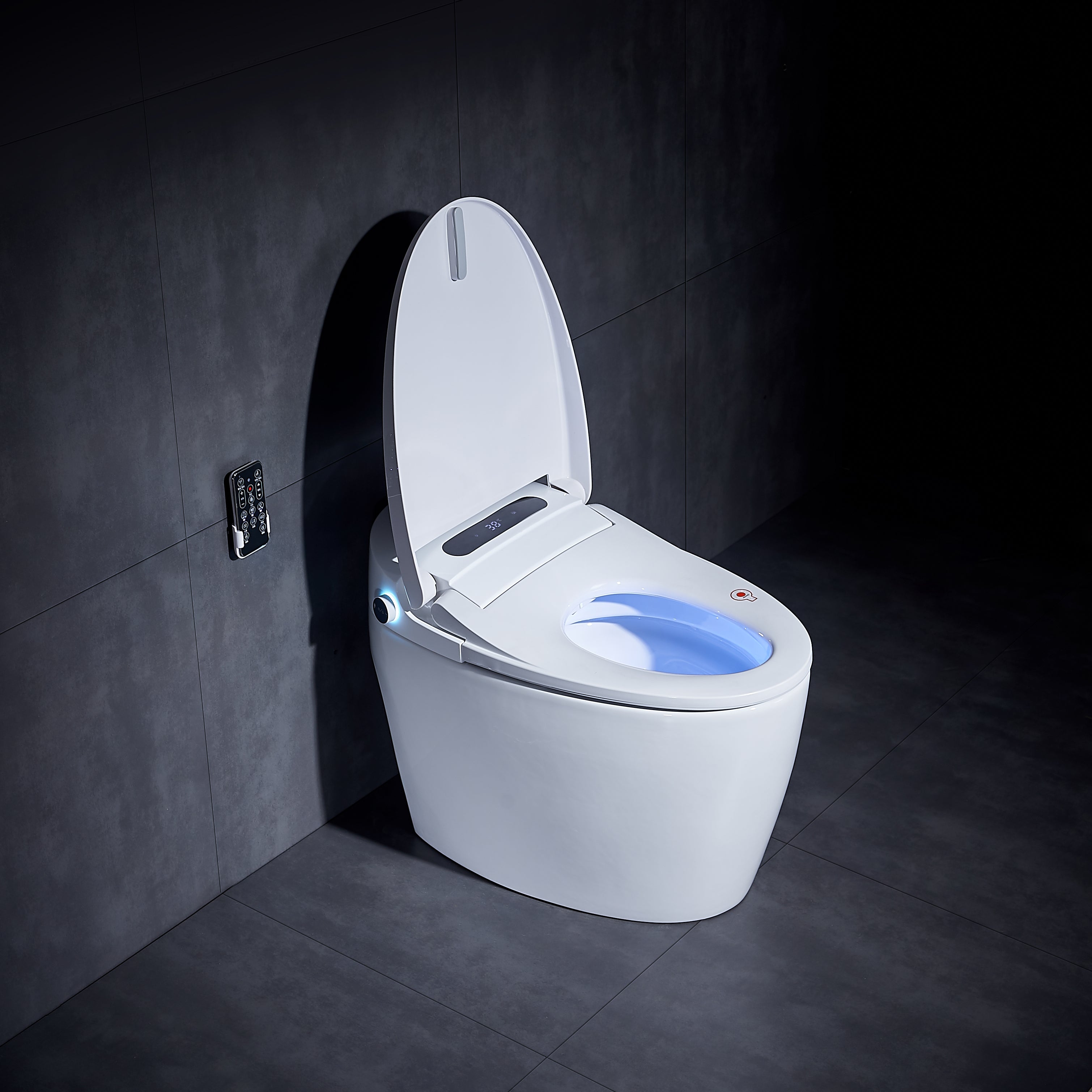 RS001