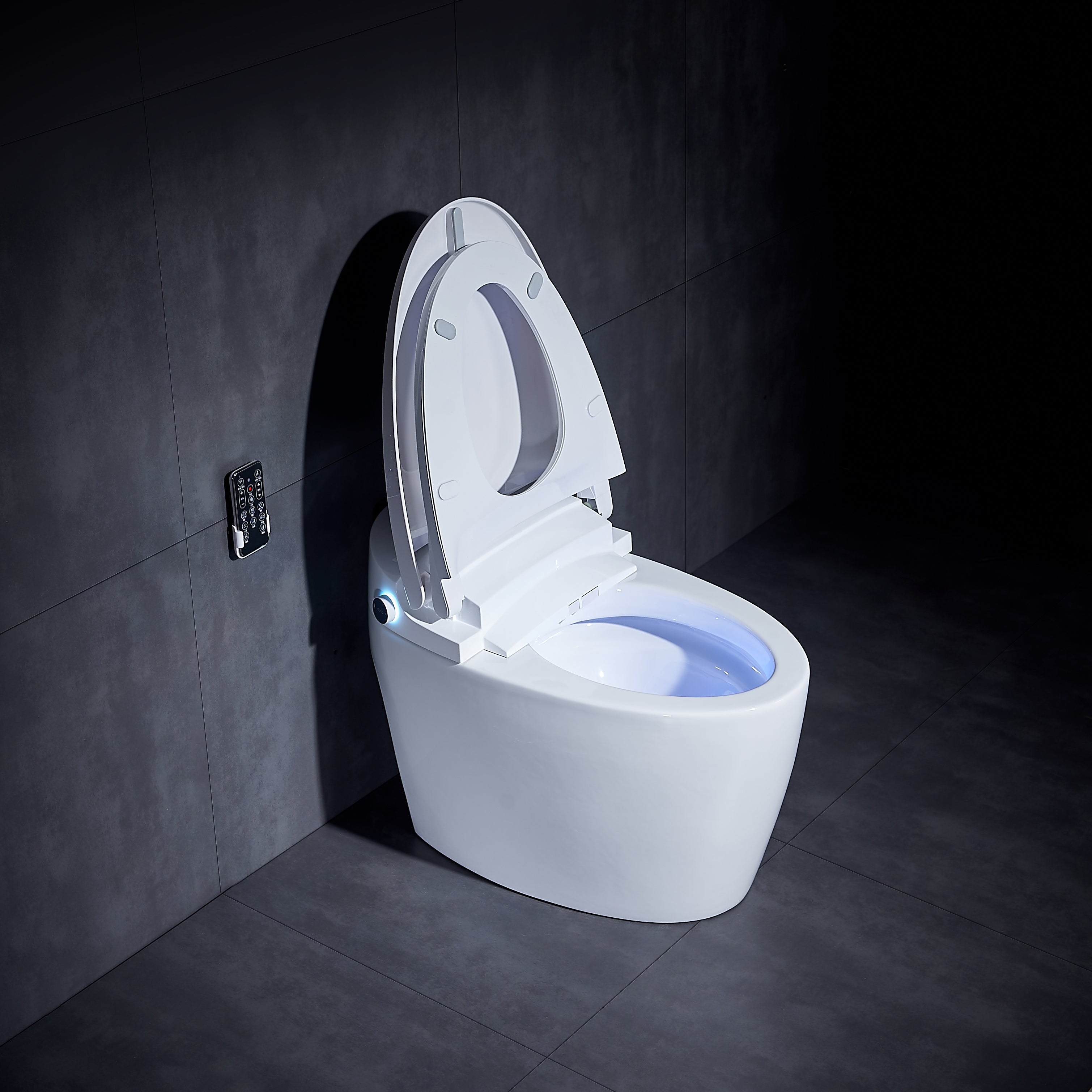 RS001
